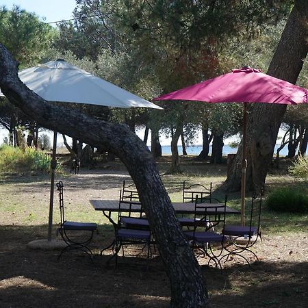 马瑟伊兰Joli Mas Au Bord De L'Etang De Thau别墅 外观 照片