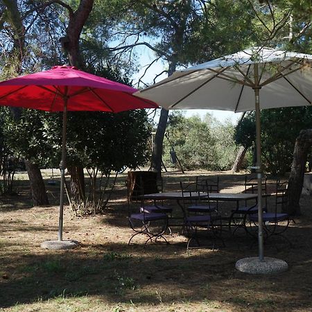 马瑟伊兰Joli Mas Au Bord De L'Etang De Thau别墅 外观 照片