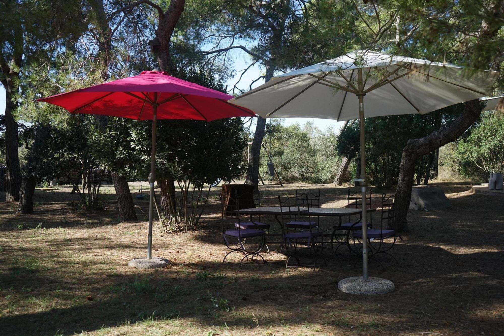 马瑟伊兰Joli Mas Au Bord De L'Etang De Thau别墅 外观 照片