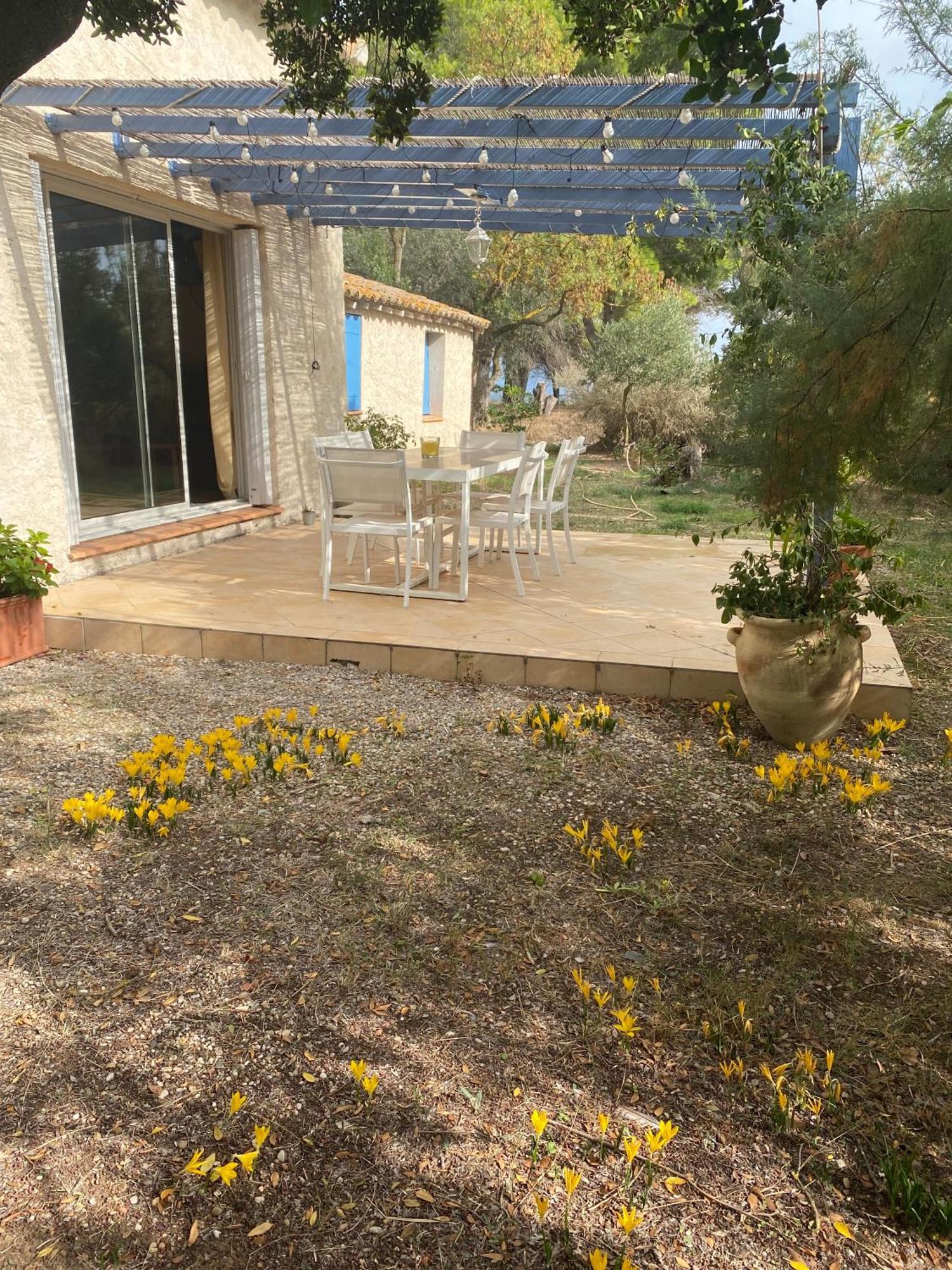 马瑟伊兰Joli Mas Au Bord De L'Etang De Thau别墅 外观 照片